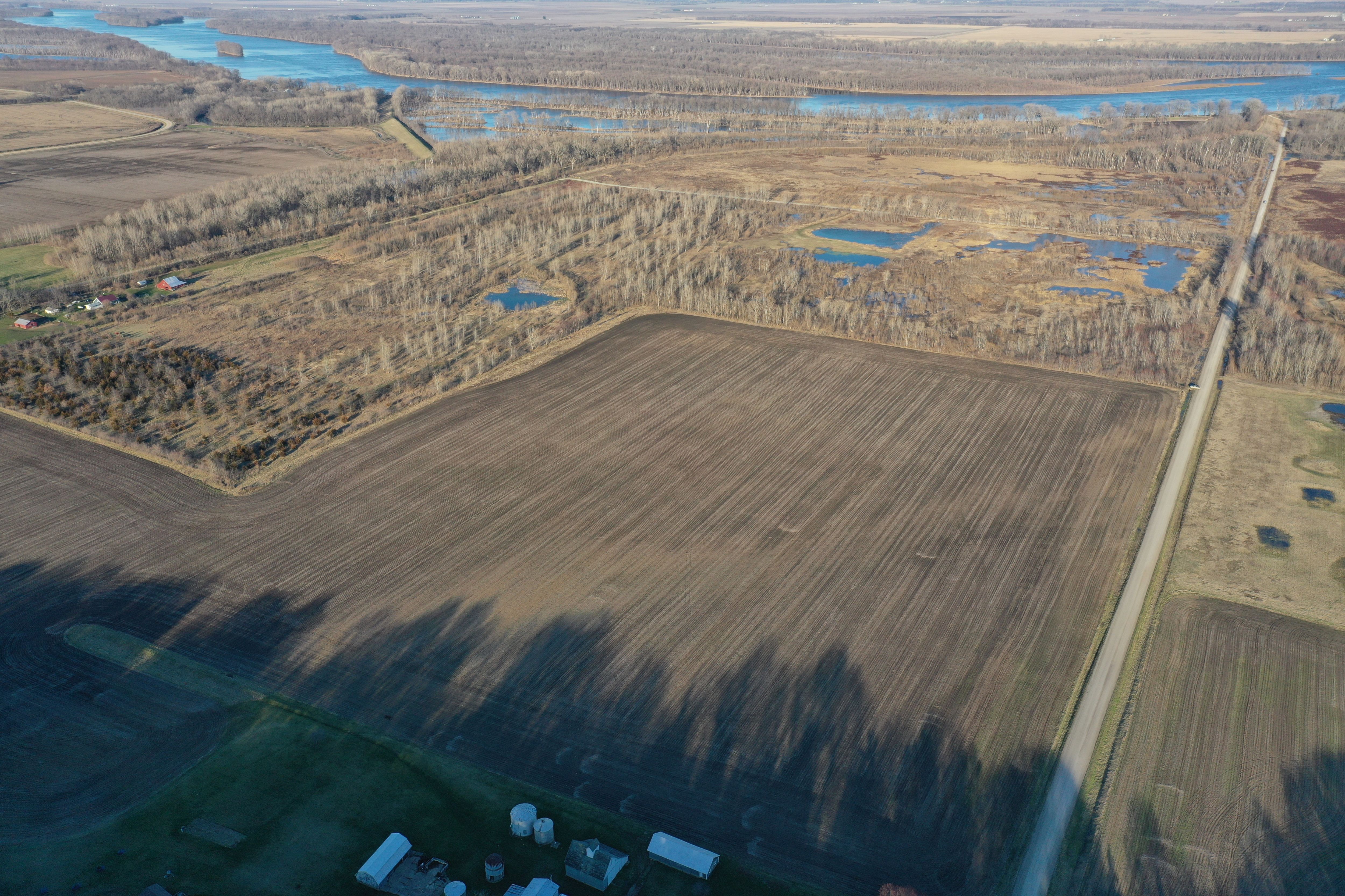 Listing Photo: Louisa County, Iowa Farmland for Sale (10)